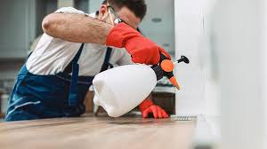 Best Residential Pest Control  in Pampa, TX